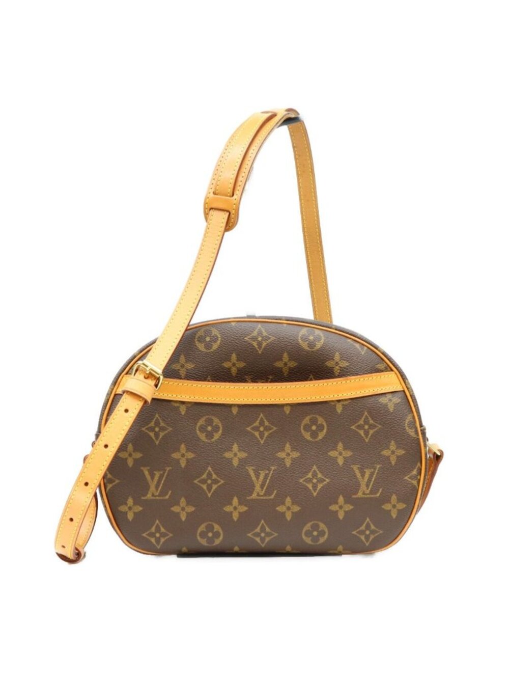 Louis Vuitton Monogram Blower Shoulder Bag